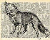 Art Print on Vintage Book Page - Woodland Fox - Natural History Art Print - Altered Book Art - Fairytale Forest Animal