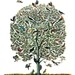 Vintage Feather Print "Tree of Birds" Natural History Antique Illustration - Bird Still Life Curiosity Woodland