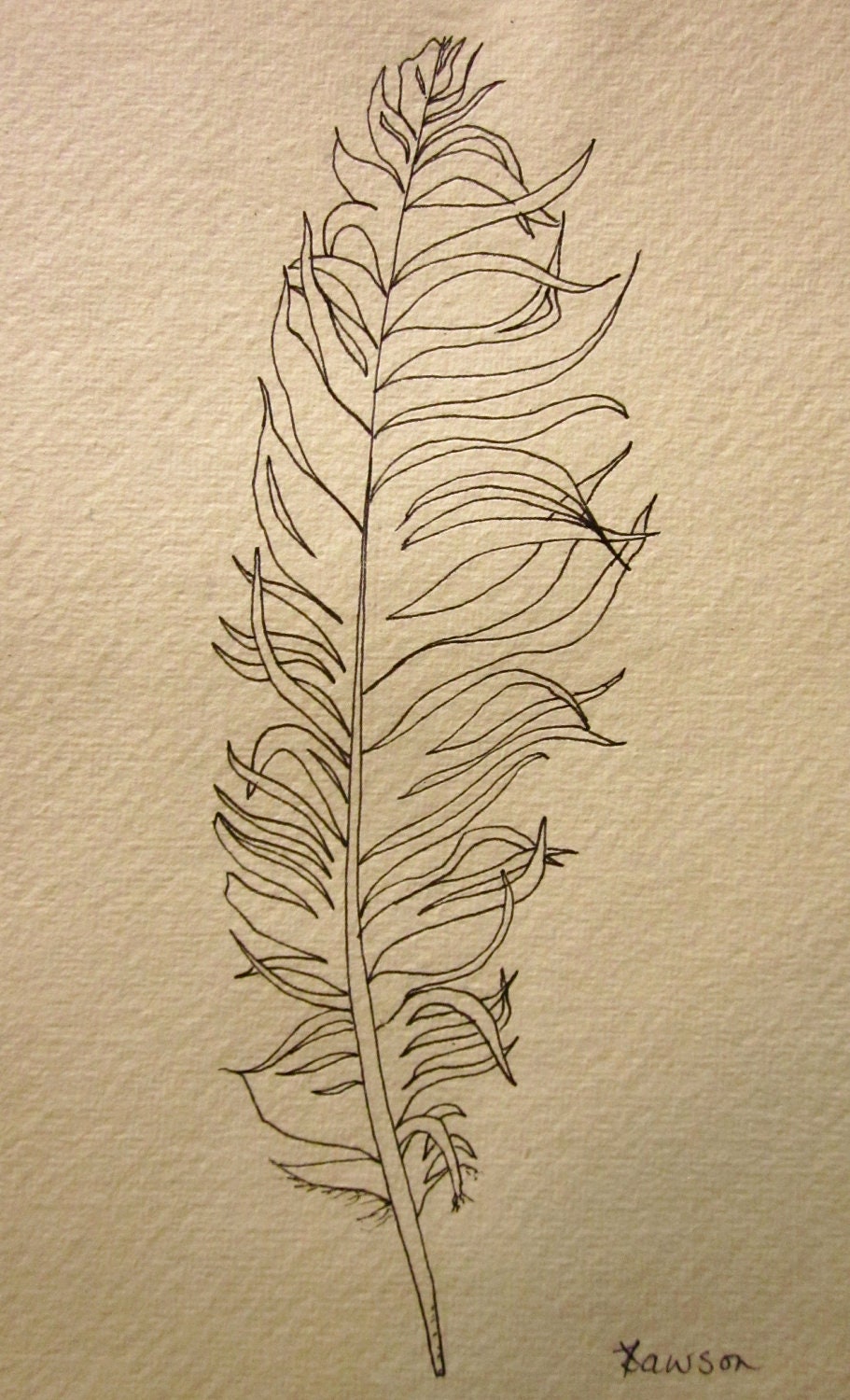 Messy feather -- original ink drawing