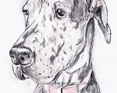 Noble Great Dane Dog, Merle, watercolor and ink original art.