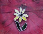 Dainty Black Eyed Susan