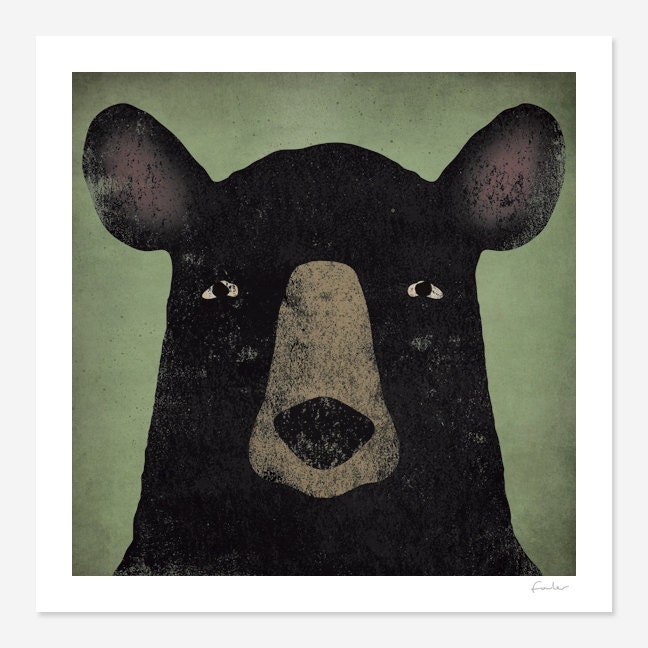 Ursus Americanus - American Black Bear GRAPHIC ART Illustration 12x12 giclee print SIGNED
