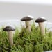 Mini Brown Button Mushroom Stakes - Garden Decoration - Set of 3