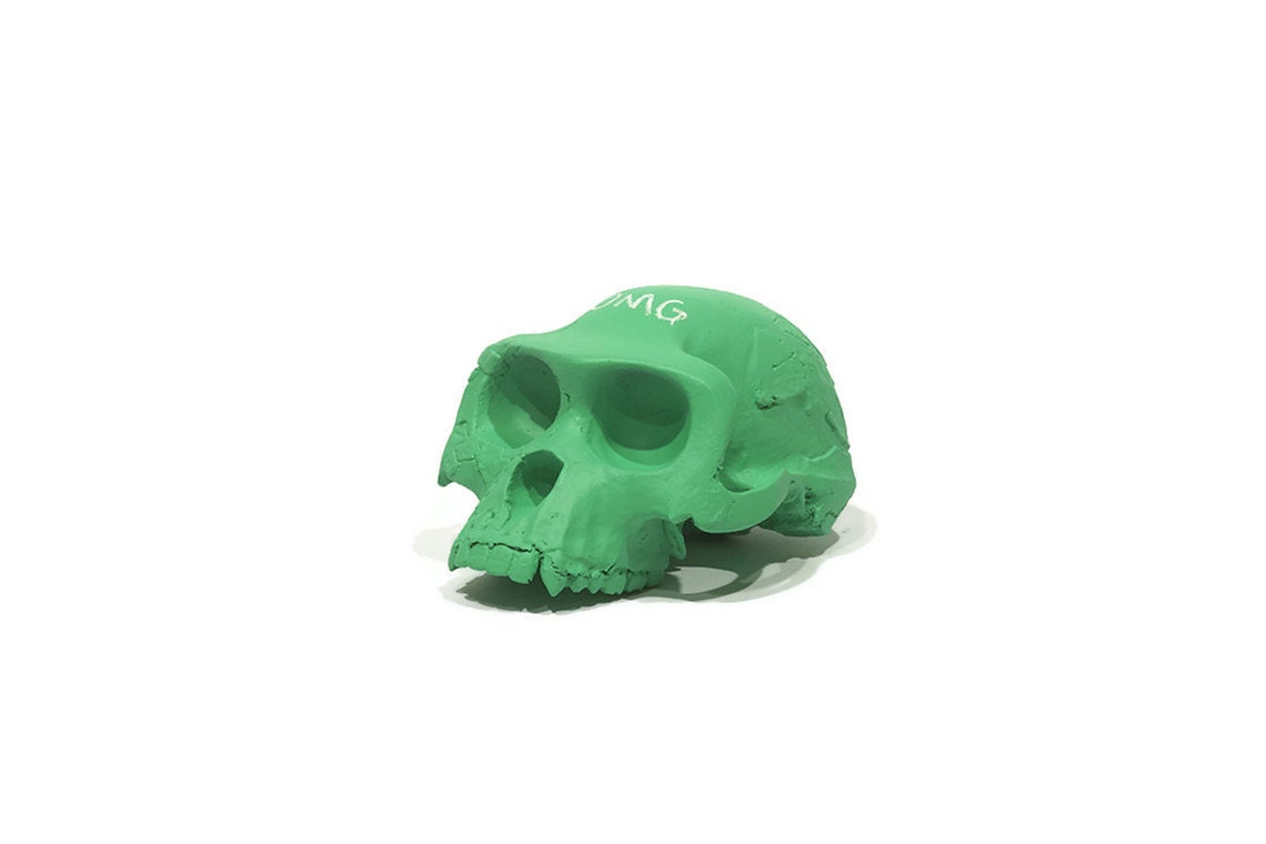 Ardi chalkboard skull