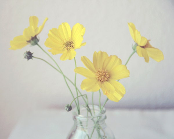 Picked Wild Flowers 8x10 Photo Print