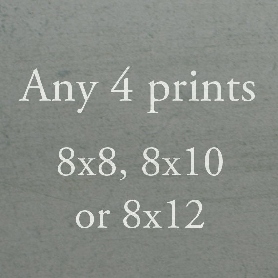 Any Four 8x8", 8x10" or 8x12" Prints
