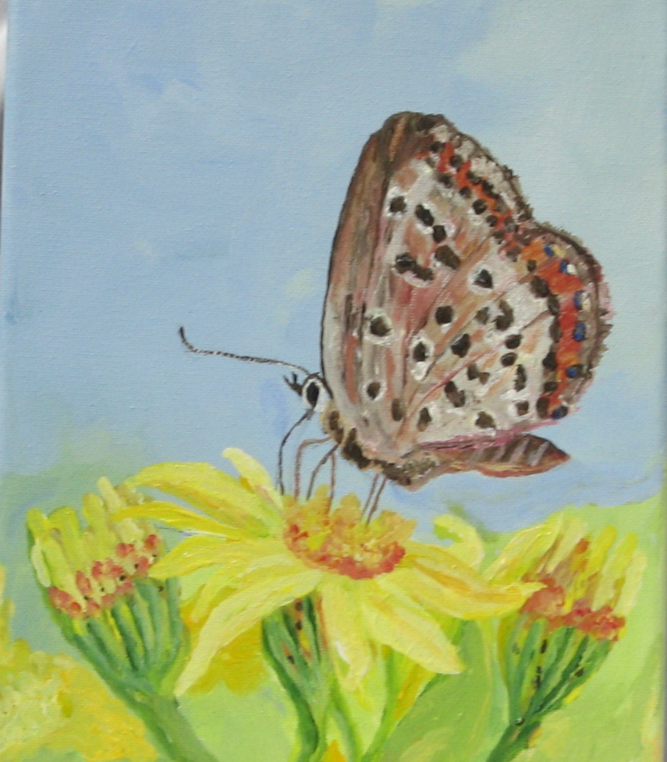Wall Art,Art, Fine Art,  ,Original Acrylic Painting, 9x12 inches,Wrapped Canvas,Nature,"Just A Moth"