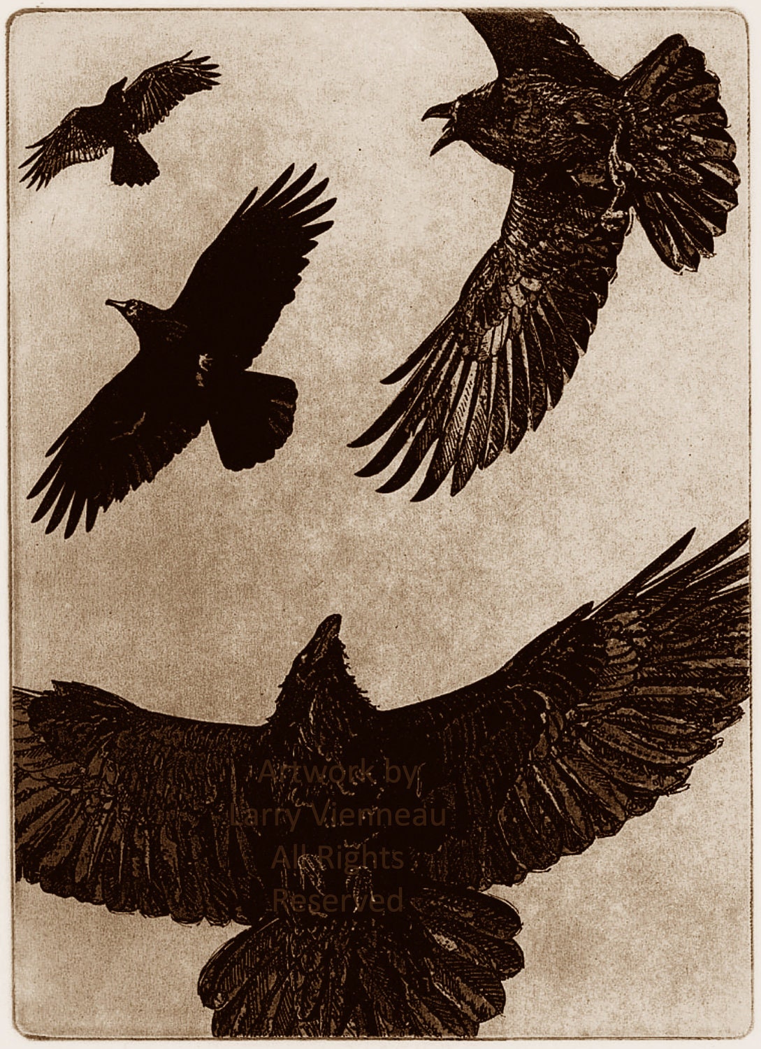 THE DANCE - Raven (crow, bird) Series-   5 x 7 inches Etching Brown Ink on cream paper,  2012