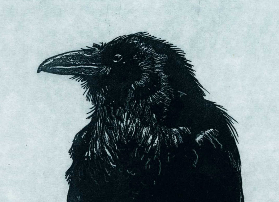 Award Winning Print -Raven Series(bird, Native American, crow) - RAVEN DECIDES Not to Create MAN- Etching in Blue Black ink 5 x 7inch 2012