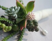 Boutonniere, living succulents with blooms