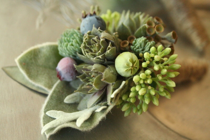 Boutonnieres- succulents, lambs ear, dusty miller, sedum, blueberries, rustic, natural twine