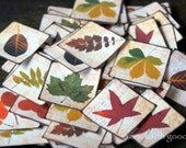 Eco Friendly Stickers: Fall Leaves Stickers, Autumn envelope seals, fall foliage stickers, red, orange, yellow, 1.5" squares