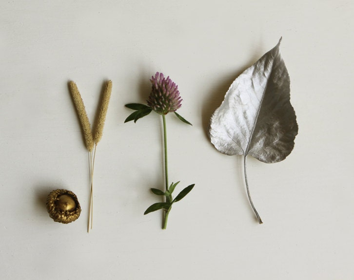 Winter Garden  White Minimal  Winter Still Life 8x10 Archival Photograph