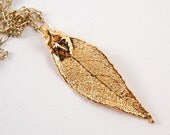 Gold Plated Real Laurel Leaf  Pendant Necklace