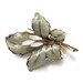 VINTAGE BROOCH, Leaf Brooch