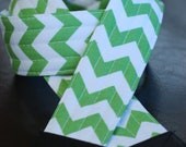 Green Chevron SLR Camera Strap with Leather Ends- Free Shipping