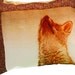 Pillow Cushion Fox Autumn Golden Browns Reds England