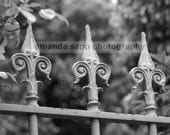 Paris fleur de lis fence black and white 8" x 10" photograph