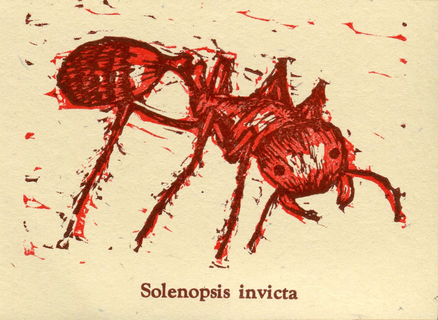 Red Ant Card