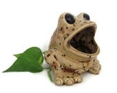 Ceramic Frog Sponge Holder - Earth Tone