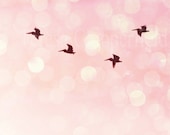 Bird Wall Decor - Pelicans Flying - Pink Nursery Wall Art - Fine Art Photography - 8 x 10 - Tranquil, Gentle, Soft, Pastel, Surreal, Bokeh