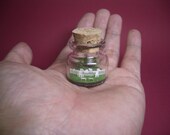 A lot of sheep are in a tiny bottle
