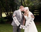 Just Married Banner: Rectangle