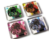 Dog Magnets,  Pop Art Dog, Shih Tzu - BluKatDesign