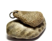 Drilled Fossil Jewelry- Unisex Man or Woman Pendant Supplies- Slide On Necklace, Choker Bead-"Honey" by Allybeans