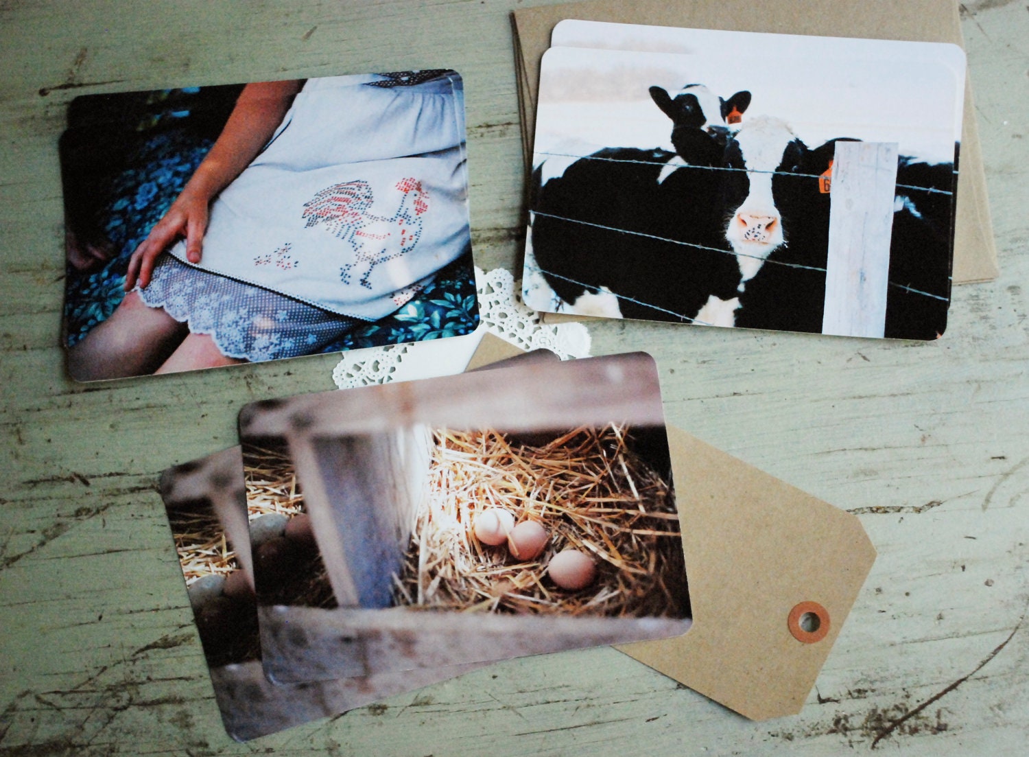 Homesteading Film Photography Postcards Set of 6