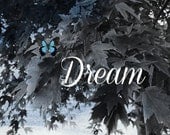 Dream - Black/White/Blue Modern Home Decor - Modern Original Art - Altered Print - Leaves with Butterfly -  8 x 10 Print