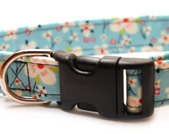 Retro Light Blue with Pink Cherry Blossoms Medium Dog Collar