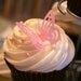 60 Edible PINK Elegant Large Lacey Butterflies, Wafer Paper