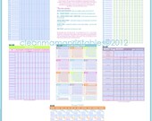 The EDITABLE Budget and Bill Pay Kit - Brights - INSTANT DOWNLOAD
