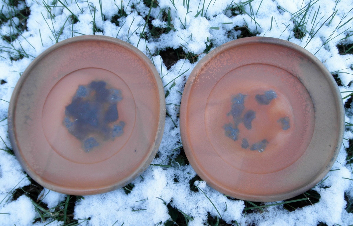 Pair of wood fired plates