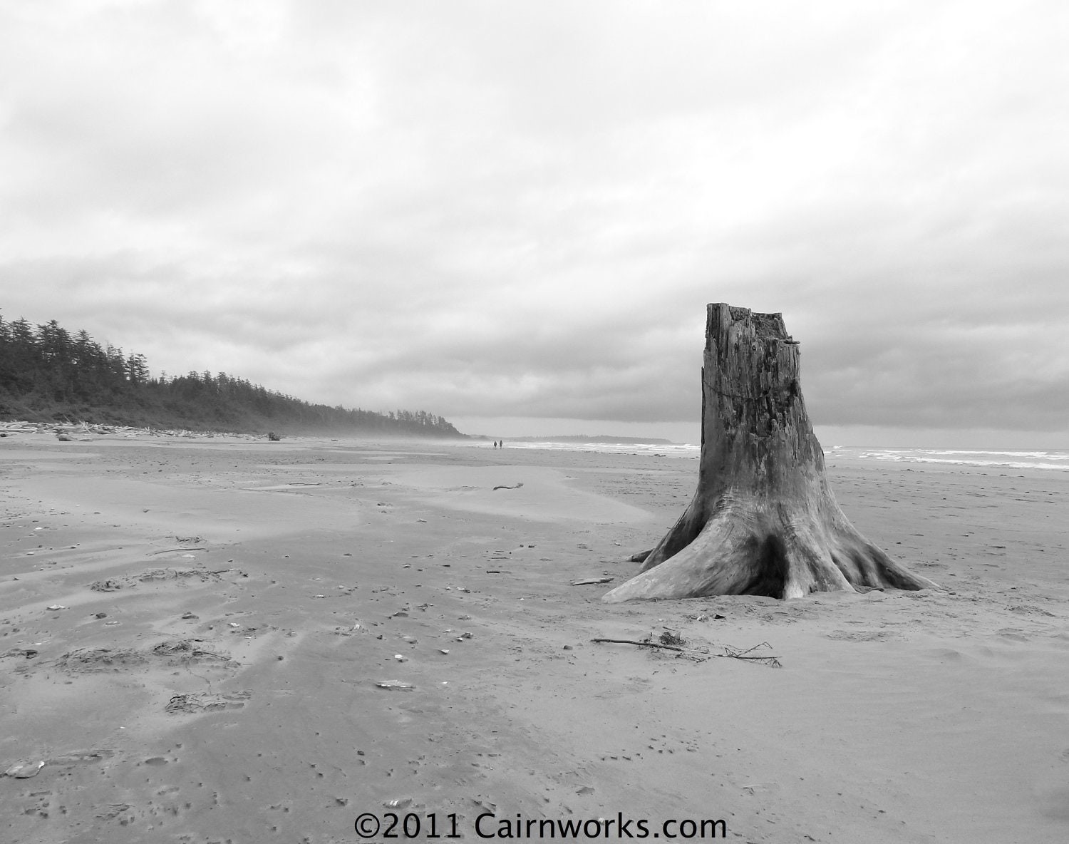 Black and White - An empty Long Beach Tofino, British Columbia