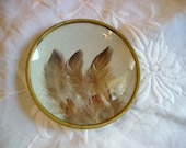 vintage feathers glass dish