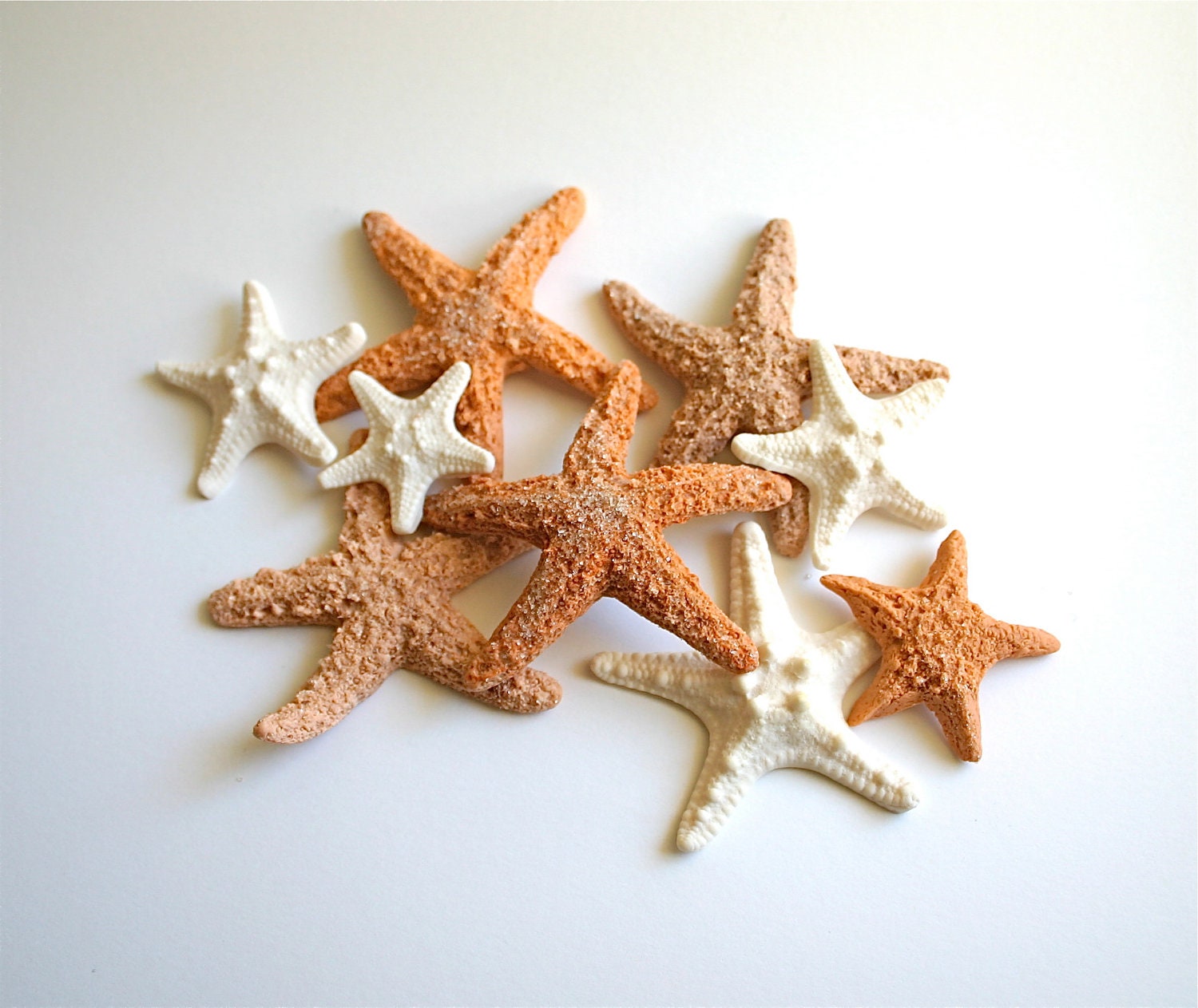 Edible Starfish / Edible Echinoderms / Edible Sea Stars - 16 - cake decoration or stand alone decorative sweet