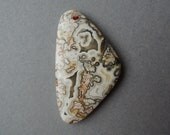 Cabochon - Crazy lace agate - 43 by 25 by 5 mm