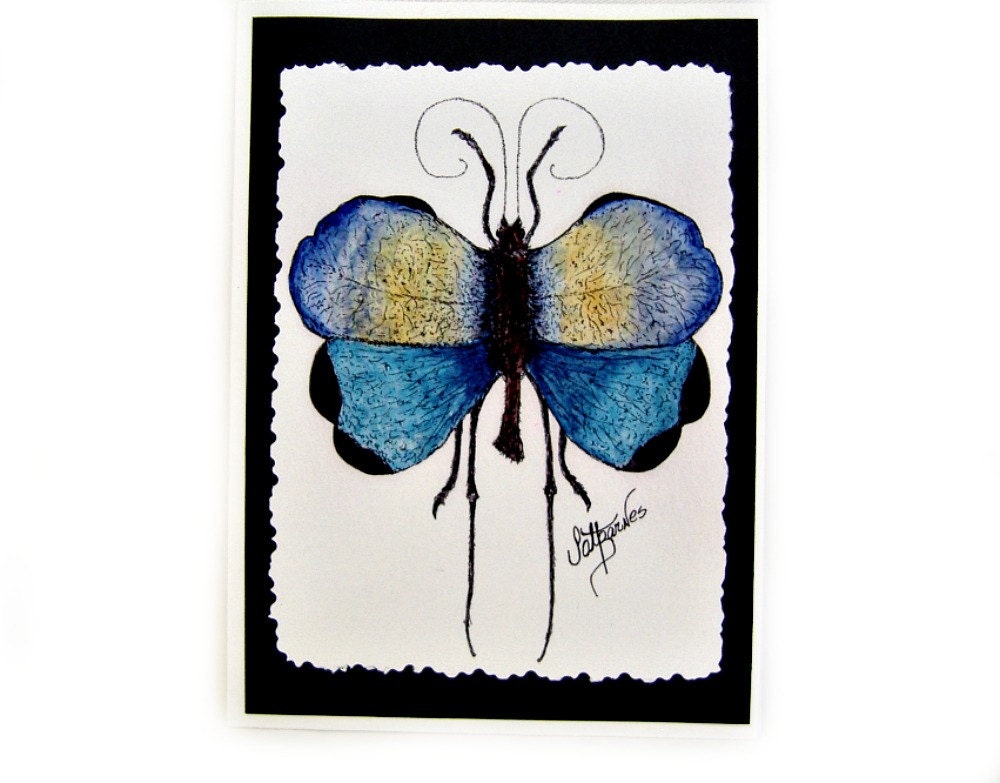 Notecards (Blue Tropical Grasshopper) Signed on Back - PatBarnes