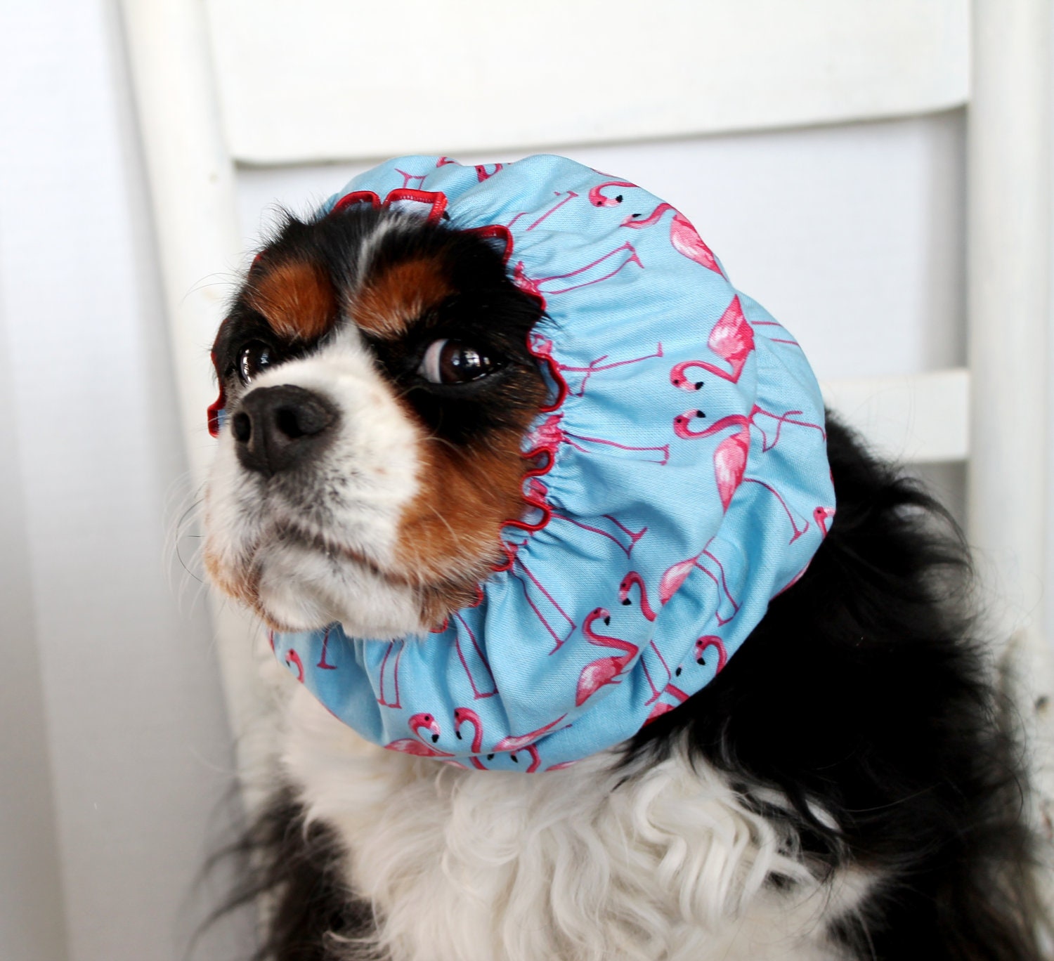 Pink Flamingo Dog Snood  / Cavalier King Charles or Cocker fabric ear covering