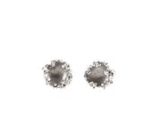 Silver Encrusted Disc Studs