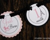 Pink Poodle in Paris:Just Born/0-12month Paris First Birthday Photo Picture Banner with attached clips to hang 4x6 pictures Il_170x135