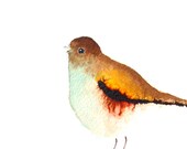 cool bird- original watercolor - zuhalkanar cool bird- original watercolor - zuhalkanar
