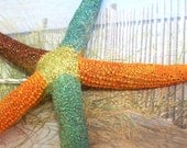 Rainbow Fingers Starfish Bobby Pin for a Beach Bride Perfect Accessory for Beachside Wedding Mermaid Hair