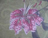 Scrapbook Craft Project Paper Acid Free Birds Flowers 12 x 12 inch Crafting Scrapbooking Paper