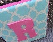 Wall Letters, 8x10 Framed Monogram, Kumari Garden, Tiffany Blue and Pink, Painted Letters, Wood Letters, Personalized, Monogram