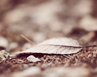 Fall Home Decor, Fall Leaf, Brown Decor, Rustic, Woodland, Nature Photograph, Forest Floor Print, Pine Needles, 8x10 Forest Decor