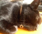 Add on Small Pet Tag - Extra Number or Address - By Rawkette