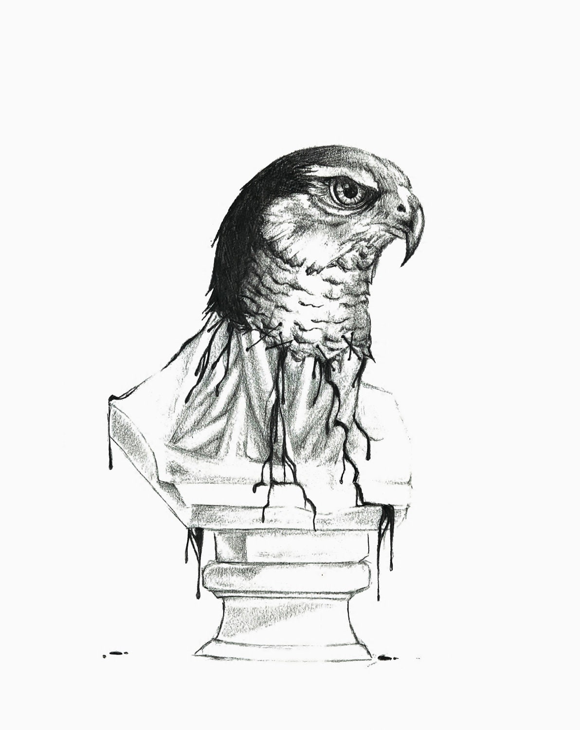 SALE 5x7 "PREY" Digital Print of  Black and White Hawk Bust Goth Macabre Pencil Art by Cassie Meder